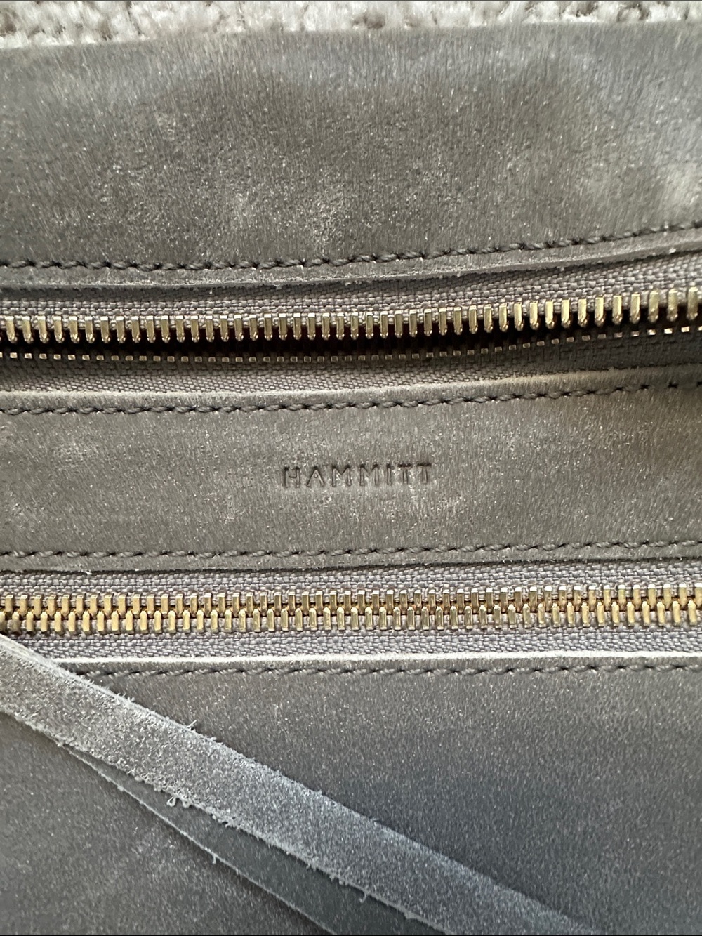 Hammitt Small Charles Crossbody in GUC! - Picture 10 of 10